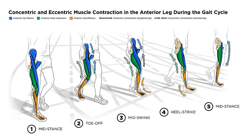 AY Design Portfolio Ontario